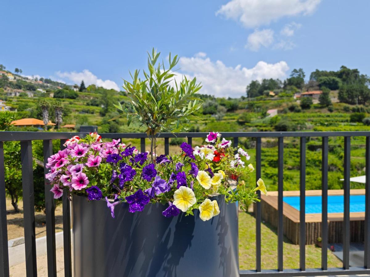 Casa Da Milinha - Villa With A Pool Near Rio Douro Santa Cruz do Douro Exterior photo